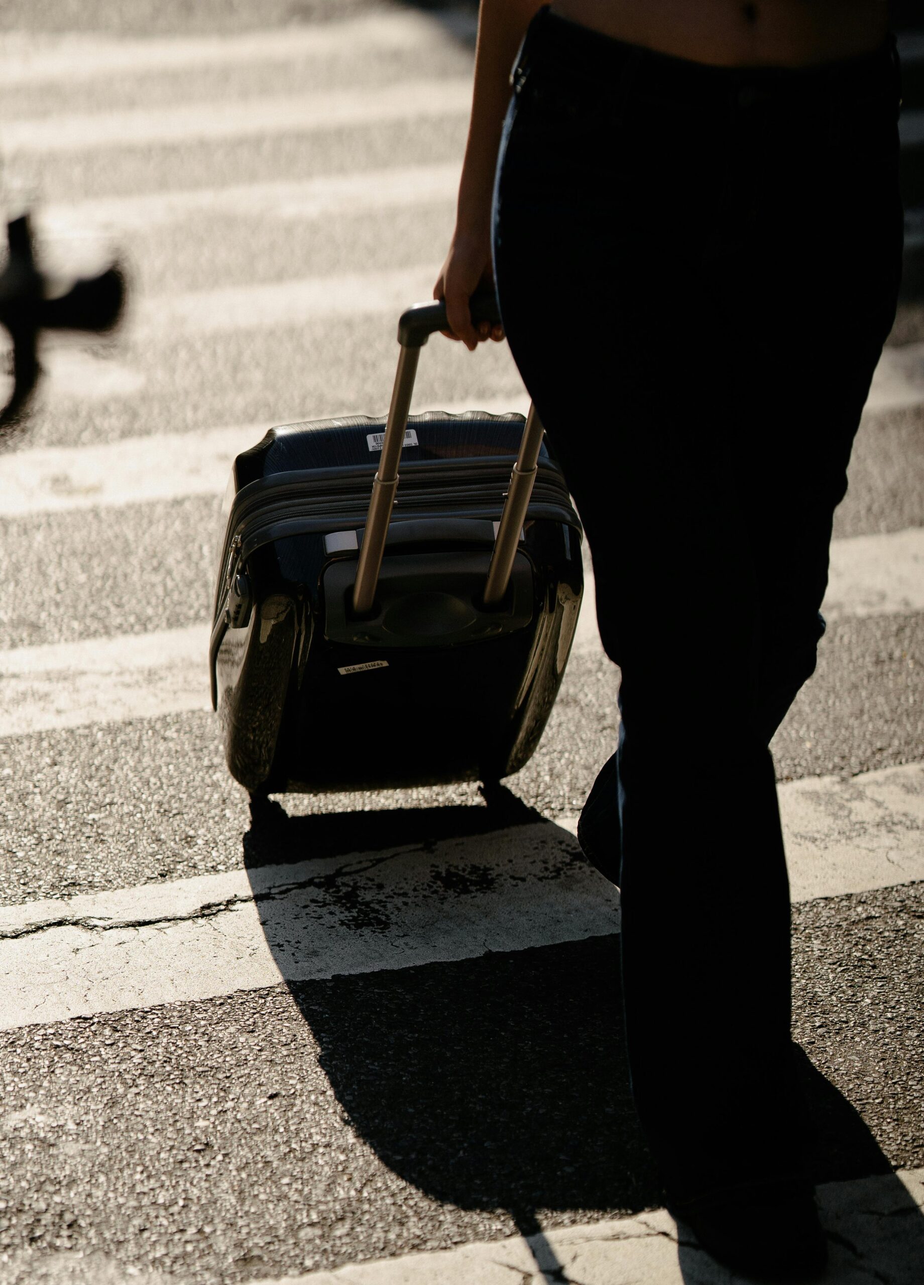 suitcase ROZEN.MINT